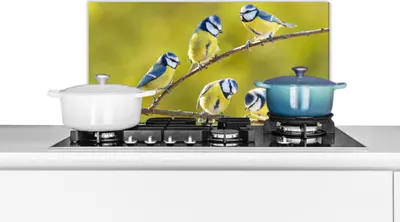 Produktbild von KitchenYeah®  Spritzschutz Küche - Küchenrückwand - Wandschutz für Herd und Spüle - Vogel - Blaumeise - Äste - Sonne 60x30 - Alu-Dibond (Alternative zum Spritzschutz aus Glas) - Hitzebeständig - Herds