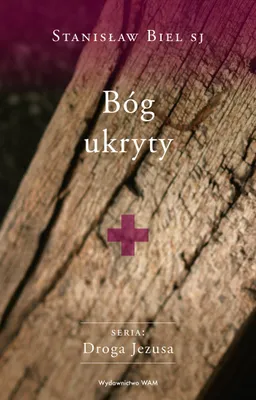 Zdjęcie produktu dla Bog ukryty