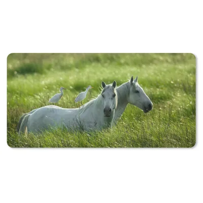 Produktbild von MuchoWow® Schreibtischunterlage Pferde - Vogel - Gras 80x40 cm - XXL Mauspad - Gaming Mauspad
