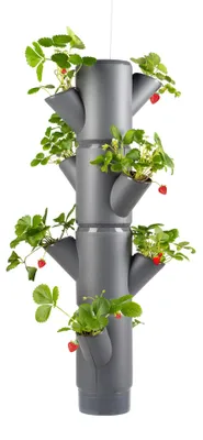 Produktbild von SISSI STRAWBERRY Erdbeerturm hanging anthrazit (4 Etagen) | Erdbeertürme von Gusta Garden