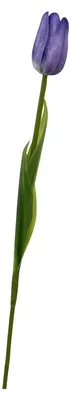 Produktbild von 1/5 Stück künstliche Tulpen, realistische, leuchtende Farben, Eisendraht, Kunststoff, mehrlagige Blütenblätter, künstliche Blumendekoration für Haus und Garten