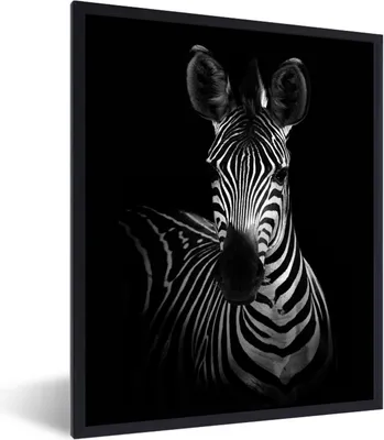 Produktbild von MuchoWow® Gerahmtes Poster Zebra - Schwarz - Weiß - Tiere 60x80 cm - Poster mit Schwarzem Bilderrahmen Wandposter Rahmen Foto Bilder - Premium - Wanddeko Wohnzimmer