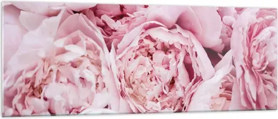 Produktbild von Bilder auf glas - Einteilig - Blumenstrauß Blumen Rosa - 140x50cm - Glasbilder - Wandbilder - Bilder - zum Aufhängen bereit - Wanddekoration aus Glas - Glas Bilder - Wandbild auf Glas - GAB140x50-5001
