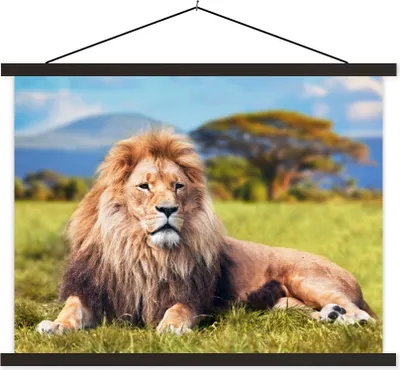 Produktbild von MuchoWow® Textilposter Löwe - Savanne - Afrika 40x30 cm mit schwarzem Rahmen - Dekorationen