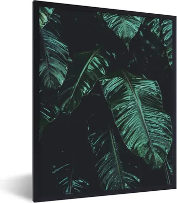 Produktbild von MuchoWow® Gerahmtes Poster Dschungel - Palme - Blätter - Tropisch 60x80 cm - Poster mit Schwarzem Bilderrahmen Wandposter Rahmen Foto Bilder - Premium - Wanddeko Wohnzimmer