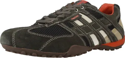 Produktbild von GEOX Schnürer U SNAKE K, Grün:43