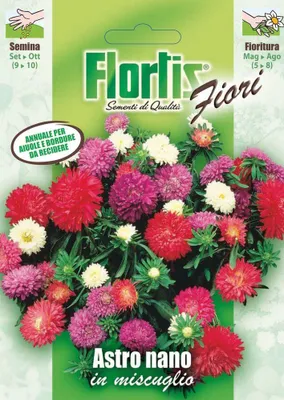 Produktbild von Zwerg Aster Mischung | Asternsamen von Flortis