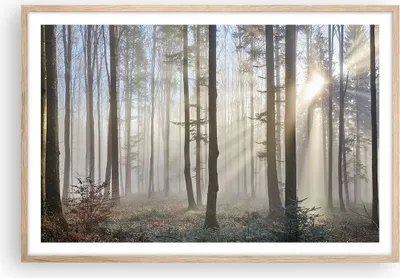 Produktbild von Gerahmtes Poster - Rahmen in heller Eiche - Wald Baum Natur - 91,5x61 cm - Wand Bild - Wanddeko - Wandbilder - Kunstposter - Wandposter - Bilderrahmen - Bilder - Kunstdruck - Wandbild P2NAA91x61-3749
