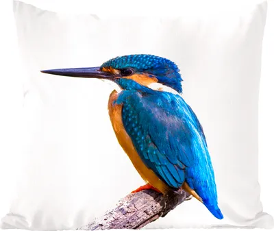 Produktbild von MuchoWow® Zierkissen Sofakissen Wohnzimmer Dekokissen 45x45 cm Eisvogel - Federn - Zweig - Blau - Schlafpolster - Polster für das Sofa