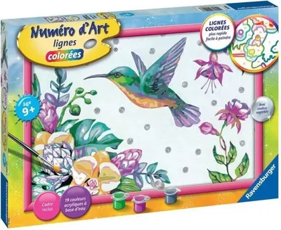 Produktbild von Ravensburger 20098, 7 Jahr(e), 340 mm, 230 mm, 40 mm, 1 Stück(e)