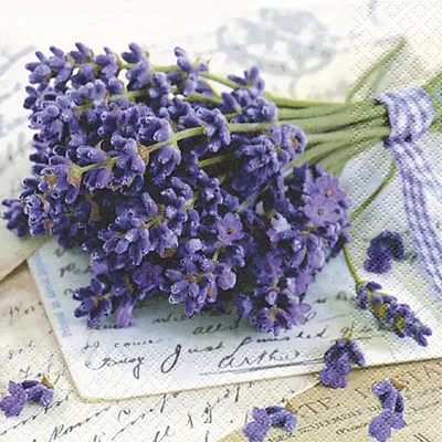 Produktbild von 20 Servietten Lavender Greetings - Lavendel grüßt 33x33cm