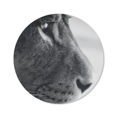 Produktbild von MuchoWow® Mauspad Mousepad Tierprofil Löwe in schwarz und weiß 30x30 cm - Mousepads - Maus Mat - Pad - Mausunterlage - Tischunterlage - Schreibtischmatten