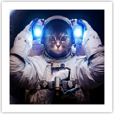 Produktbild von Poster - Poster ohne Rahmen - Kosmonaut Katze - 50x50 cm - Wand Bild - Wanddeko - Wandbilder - Kunstposter - Wandposter - Bilder - Kunstdruck - Wanddekoration - Wandbild - P2XAC50x50-3734