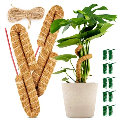 Produktbild von Rankhilfe für Monstera (2er-Set mit Zubehör), 70 cm, flexibler Moosstab für Kletterpflanzen, Pflanzenstab mit Aluminiumkern (70 cm)