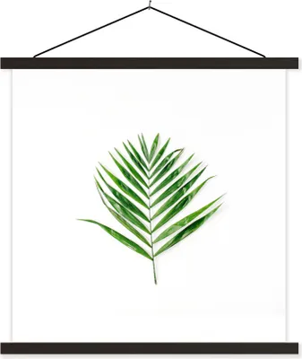 Produktbild von MuchoWow® Textilposter Tropisch - Blatt - Grün 40x40 cm mit schwarzem Rahmen - Fotos