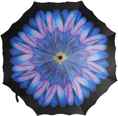 Image de Parapluies-cannes élégants avec motif floral - Stable, résistant au vent et élégant Motif 6