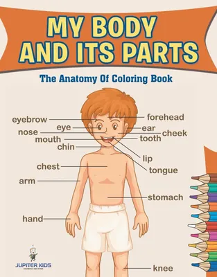 Produktbild von My Body And Its Parts