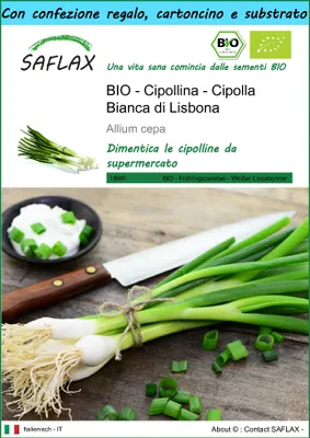 Immagine prodotto di SAFLAX Set regalo - BIO - Cipollina - Cipolla Bianca di Lisbona  - 150 semi - Allium