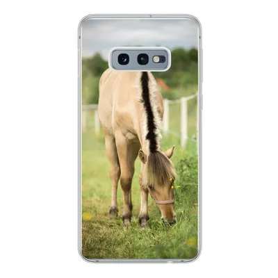 Produktbild von MuchoWow® Handyhülle Schutzhülle Hülle für Samsung Galaxy S10e Porträt eines Fjordpferdes auf einer Wiese Silikon Softcase Handy Hülle - Handy