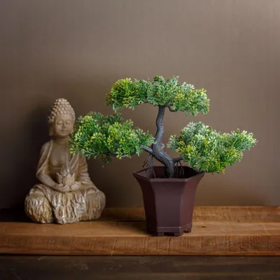 Produktbild von Künstliche Pflanze - Heimdekoration - Bonsai-Baum - 25 x 9 cm 1 Stück [11895], KI-generiertes Bild