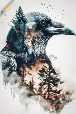 Produktbild von ARTland Wandbild, selbstklebend Rabe Größe: 40x60 cm