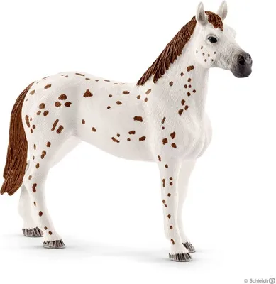 Produktbild von schleich HORSE CLUB 42433, Horses, 5 Jahr(e), Mehrfarbig, Kunststoff