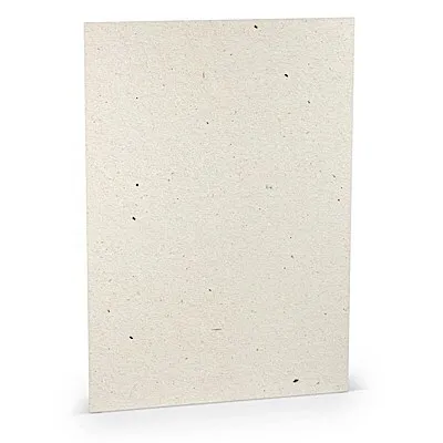 Produktbild von Karton A4 220g/qm VE=5 Blatt Terra Vanilla