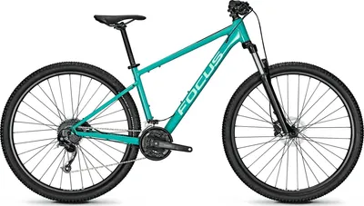 Immagine prodotto di Focus Whistler 3.6, 29" Diamante Taglia telaio L 46 cm F BLUE