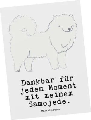 Produktbild von Mr. & Mrs. Panda Fotokarte Samojede Moment - Weiß - Geschenk, Ansichtskarte, Postkarten, Postkarte, Ansichtskarten, Samojedenhund, Kunstkarten, Samojedenspitz