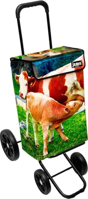 Produktbild von James Einkaufstrolley - MUKULI - stabiler Einkaufswagen mit individuellem Design - einfarbig: grün in Ausführung: Quattro-4Raeder