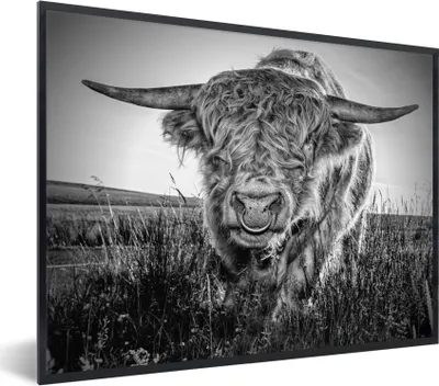 Produktbild von MuchoWow® Gerahmtes Poster Schottischer Highlander - Schwarz und Weiß 80x60 cm - Poster mit Schwarzem Bilderrahmen Wandposter Rahmen Foto Bilder - Schwarzem - Mit Gestell
