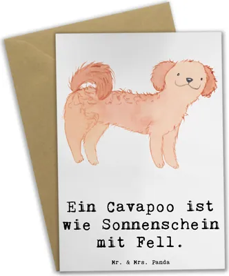 Produktbild von Mr. & Mrs. Panda Beileidskarte Cavapoo Sonnenschein - Weiß - Geschenk, Hunderasse, Hunderassen, freundliche Hunde, glückwunschkarten, Familienhund, Grußkarte, osterkarte