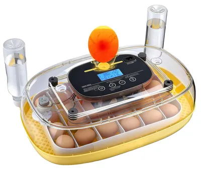 Produktbild von VEVOR 24 Eierbrüter, automatischer Eierwender mit LED-Eierprüfer, Temperatur- und Feuchtigkeitskontrolle, 360° Sichtfenster, automatische Wasserauffüllung, Brutgeräte für Geflügel-Eier zum Ausbrüten von Küken, Enten, Gänsen und Wachteln, 24 Eier