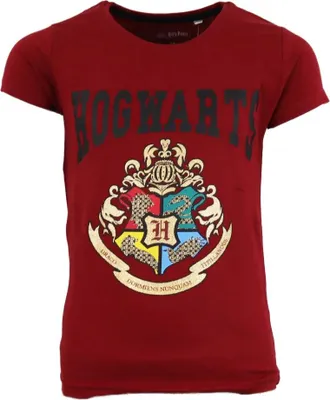 Produktbild von Harry Potter Hogwarts Kinder kurzarm T-Shirt – Braun / 146