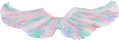Zdjęcie produktu dla Kostium skrzydełek wróżki, pióra, kolorowy, anioł, księżniczka, na Halloween, cosplay, imprezę, upominki dla gości, scenę, L