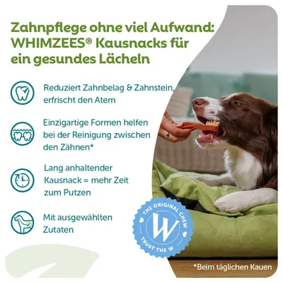 Produktbild von WHIMZEES Zahnbürste M, 12 Stück, Kaustangen für mittelgroße Hunde, getreidefrei