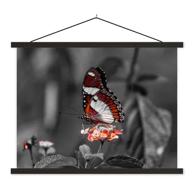 Produktbild von MuchoWow® Textilposter Schmetterling - Tiere - Blumen - Schwarz und weiß - Orange 40x30 cm mit schwarzem Rahmen - Dekorationen