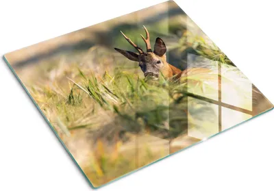 Obrázek produktu pro Kryt varné desky – Kryt na indukční desku – Ochranná skleněná deska – 60x52 cm – Skleněné ochranné desky na sporák –Tvrzené sklo –Jelení pole