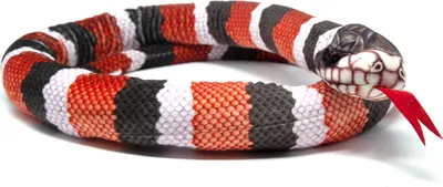 A stuffed toy snake coiled on a white background.