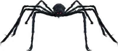 Produktbild von Schwarze Grusel Spinne