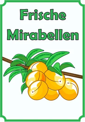 Produktbild von Frische Mirabellen Schild Hochkant A2 Rückseite selbstklebend