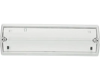 Produktbild von Notausgangsleuchte Aufbau IP65 165 lm mit Beschriftungssatz