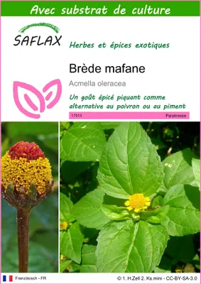 Image de SAFLAX - Brède mafane - 500 graines - Avec substrat - Acmella