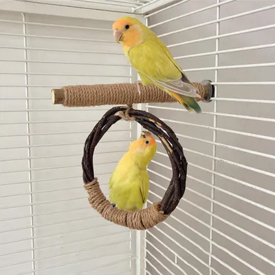 Productafbeelding van Houten vogelhuisje, 20x18 cm, van appelhout, geschikt voor kleine en middelgrote vogels