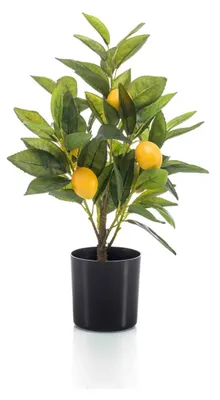 Produktbild von künstlicher Zitronenbaum im schwarzen Topf H. 40cm Emerald Topfpflanze