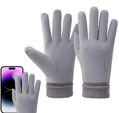 Produktbild von Winterhandschuhe für Herren – winddicht und thermisch, grau