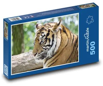 Zdjęcie produktu dla Puzzle 500 Majestatyczny tygrys w dżungli - martinpuzzle