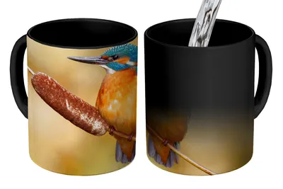 Obrázok produktu pre MuchoWow® Magický pohár Rybárik - Príroda - Vták 350 ml Pohár na zmenu farby Darček Nápad na darček - Foto hrnček