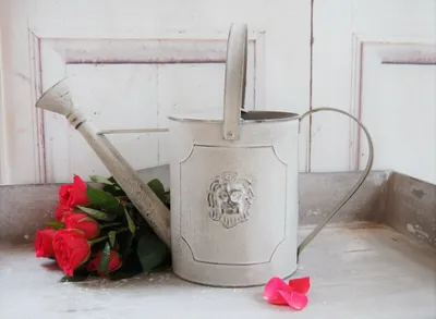 Produktbild von Traumhafte Landhaus Gießkanne Löwe im Shabby Chic Stil