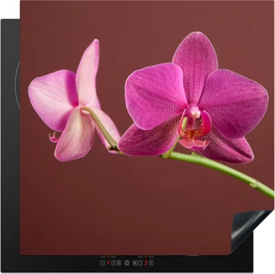 Produktbild von KitchenYeah© Herdabdeckplatte Blumen - Orchideen - Rosa , 78x78cm, Küche Deko, Glaskeramikkochfeld Herdabdeckung, Abdeckplatte fùr Kochfeld